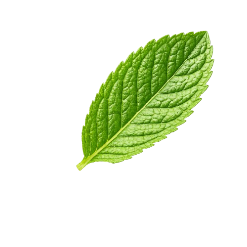 MintFin